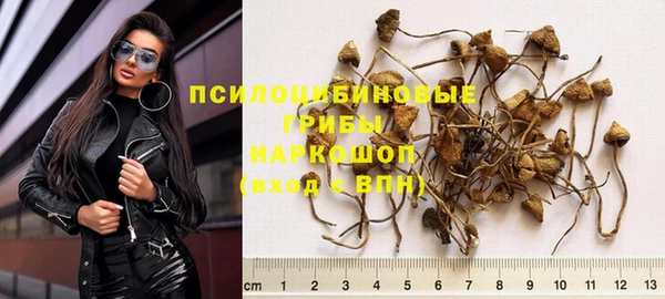 прущий лед Гусиноозёрск